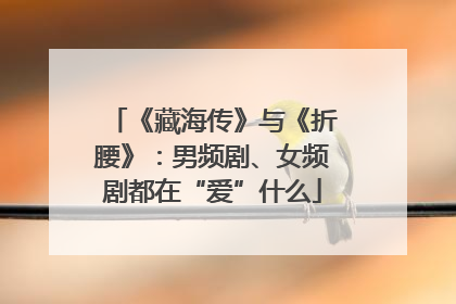 《藏海传》与《折腰》：男频剧、女频剧都在“爱”什么
