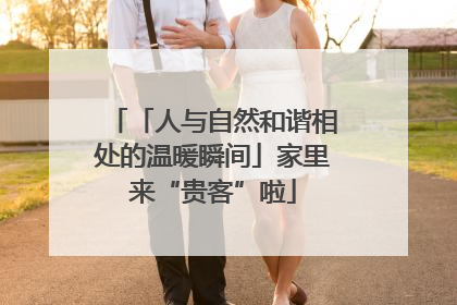 「人与自然和谐相处的温暖瞬间」家里来“贵客”啦