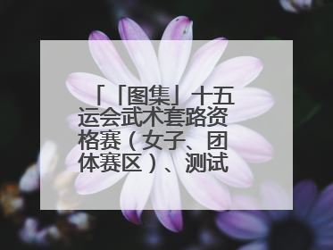 「图集」十五运会武术套路资格赛（女子、团体赛区）、测试赛在南沙开赛