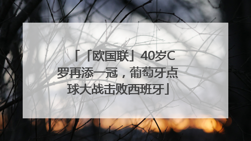 「欧国联」40岁C罗再添一冠，葡萄牙点球大战击败西班牙
