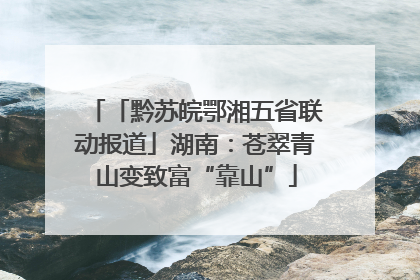 「黔苏皖鄂湘五省联动报道」湖南：苍翠青山变致富“靠山”