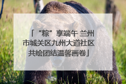 “粽”享端午 兰州市城关区九州大道社区共绘团结温馨画卷