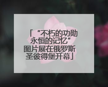 “不朽的功勋 永恒的记忆”图片展在俄罗斯圣彼得堡开幕