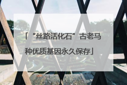 “丝路活化石”古老马种优质基因永久保存