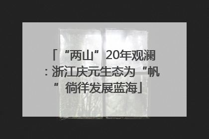 “两山”20年观澜：浙江庆元生态为“帆”徜徉发展蓝海