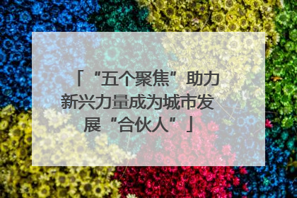 “五个聚焦”助力新兴力量成为城市发展“合伙人”