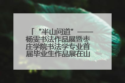 “半山问道”——杨雯书法作品展暨枣庄学院书法学专业首届毕业生作品展在山东省文化馆开幕
