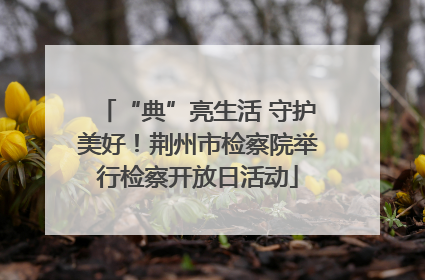 “典”亮生活 守护美好！荆州市检察院举行检察开放日活动