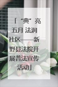 “典”亮五月 法润社区——新野县法院开展普法宣传活动