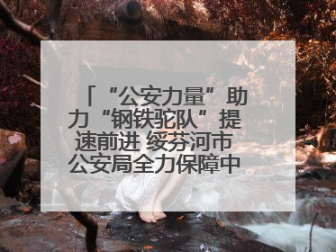 “公安力量”助力“钢铁驼队”提速前进 绥芬河市公安局全力保障中欧班列“东通道”绥芬河隧道贯通