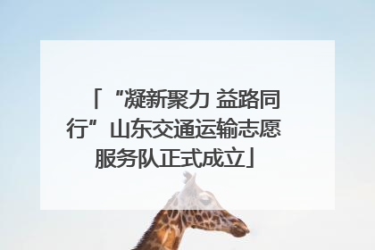 “凝新聚力 益路同行”山东交通运输志愿服务队正式成立