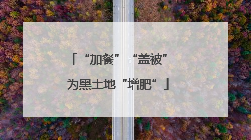 “加餐”“盖被” 为黑土地“增肥”