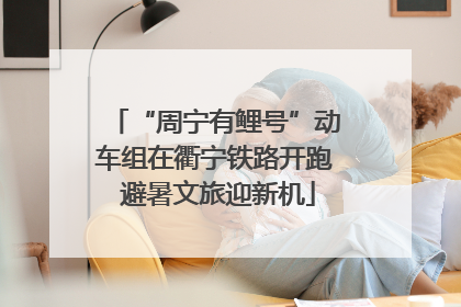 “周宁有鲤号”动车组在衢宁铁路开跑 避暑文旅迎新机