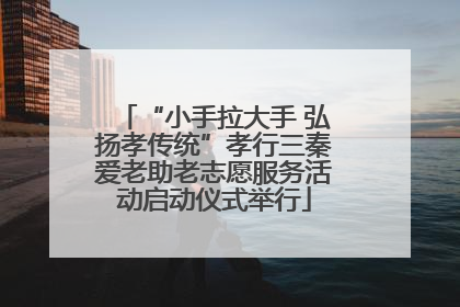 “小手拉大手 弘扬孝传统”孝行三秦爱老助老志愿服务活动启动仪式举行