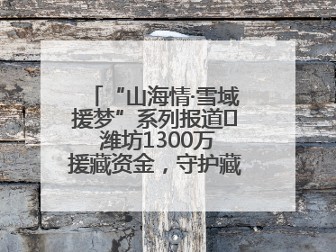 “山海情·雪域援梦”系列报道⑪ 潍坊1300万援藏资金，守护藏区群众健康“最后一公里”