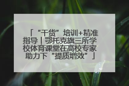 “干货”培训+精准指导丨鄂托克旗三所学校体育课堂在高校专家助力下“提质增效”