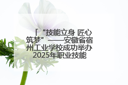 “技能立身 匠心筑梦”——安徽省宿州工业学校成功举办2025年职业技能活动周各项活动