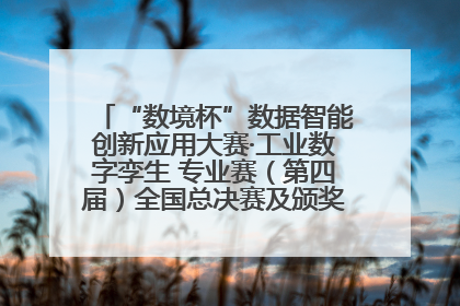 “数境杯”数据智能创新应用大赛·工业数字孪生 专业赛（第四届）全国总决赛及颁奖典礼成功举办