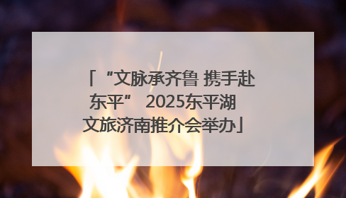 “文脉承齐鲁 携手赴东平” 2025东平湖文旅济南推介会举办