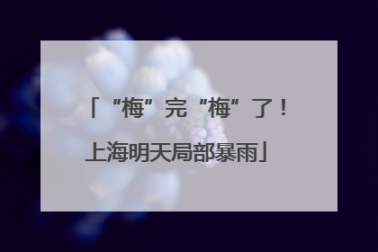 “梅”完“梅”了！上海明天局部暴雨