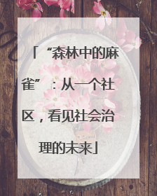 “森林中的麻雀”：从一个社区，看见社会治理的未来