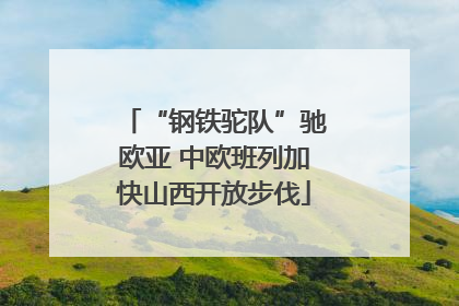 “钢铁驼队”驰欧亚 中欧班列加快山西开放步伐