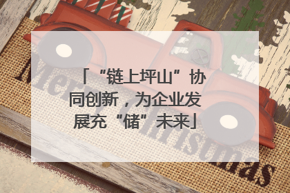 “链上坪山”协同创新，为企业发展充“储”未来