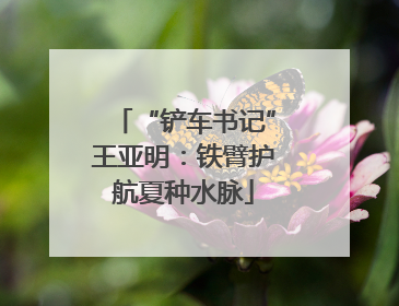 “铲车书记”王亚明：铁臂护航夏种水脉
