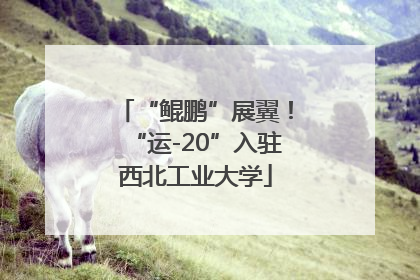 “鲲鹏”展翼！“运-20”入驻西北工业大学