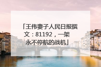王伟妻子人民日报撰文：81192，一架永不停航的战机