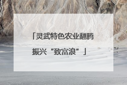 灵武特色农业翻腾振兴“致富浪”