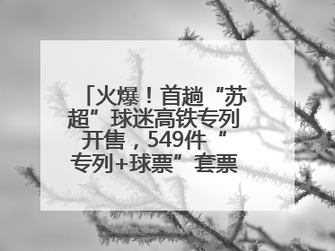 火爆！首趟“苏超”球迷高铁专列开售，549件“专列+球票”套票半小时售罄