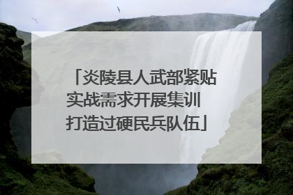 炎陵县人武部紧贴实战需求开展集训 打造过硬民兵队伍