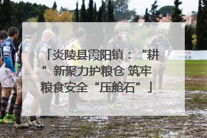 炎陵县霞阳镇：“耕”新聚力护粮仓 筑牢粮食安全“压舱石”