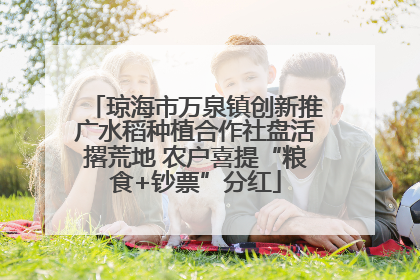 琼海市万泉镇创新推广水稻种植合作社盘活撂荒地 农户喜提“粮食+钞票”分红