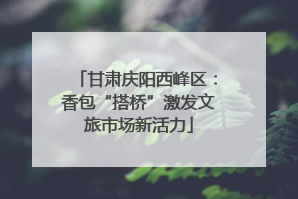 甘肃庆阳西峰区：香包“搭桥”激发文旅市场新活力