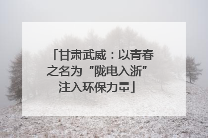 甘肃武威：以青春之名为“陇电入浙”注入环保力量