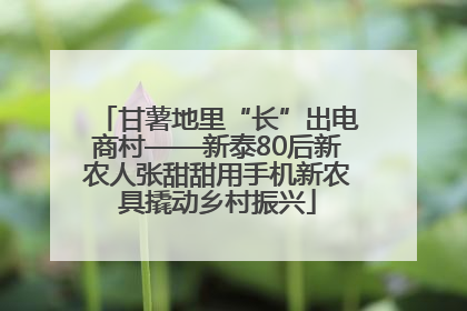 甘薯地里“长”出电商村——新泰80后新农人张甜甜用手机新农具撬动乡村振兴