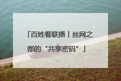 百姓看联播丨丝网之都的“共享密码”