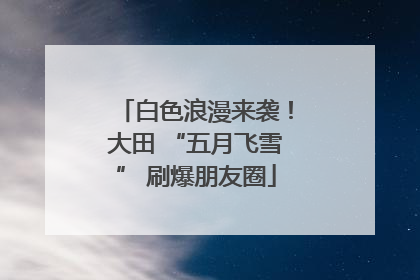 白色浪漫来袭！大田 “五月飞雪” 刷爆朋友圈