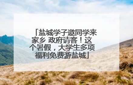 盐城学子邀同学来家乡 政府请客！这个暑假，大学生多项福利免费游盐城