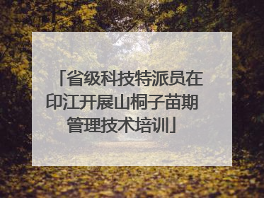 省级科技特派员在印江开展山桐子苗期管理技术培训