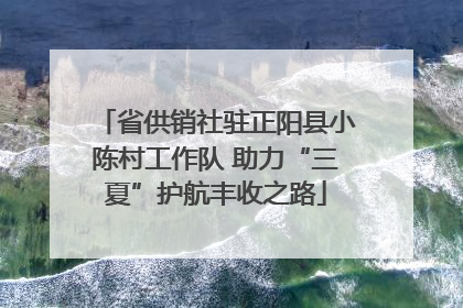 省供销社驻正阳县小陈村工作队 助力“三夏”护航丰收之路