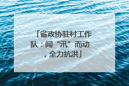 省政协驻村工作队：闻“汛”而动，全力抗洪