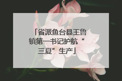 省派鱼台县王鲁镇第一书记护航“三夏”生产