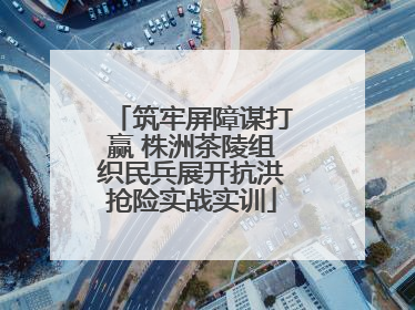 筑牢屏障谋打赢 株洲茶陵组织民兵展开抗洪抢险实战实训