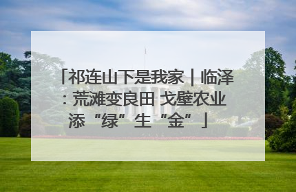 祁连山下是我家｜临泽：荒滩变良田 戈壁农业添“绿”生“金”