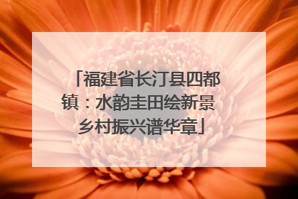 福建省长汀县四都镇：水韵圭田绘新景 乡村振兴谱华章