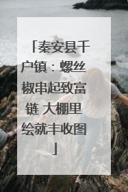 秦安县千户镇：螺丝椒串起致富链 大棚里绘就丰收图