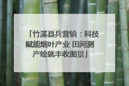 竹溪县兵营镇：科技赋能烟叶产业 田间测产绘就丰收图景